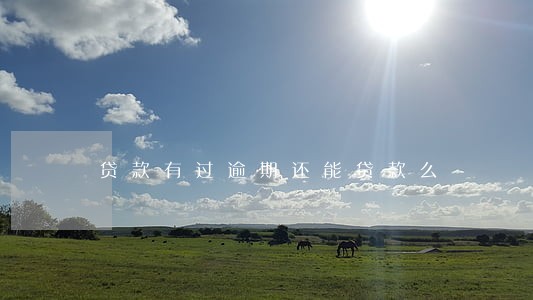 贷款有过逾期还能贷款么 贷款有过逾期还能贷款么