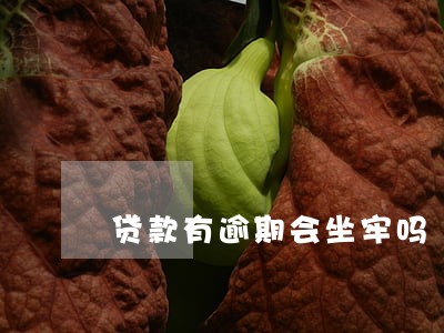 贷款有逾期会坐牢吗 贷款有逾期会坐牢吗