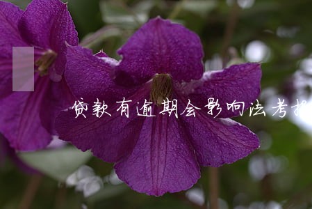 贷款有逾期会影响法考报名吗 贷款有逾期会影响法考报名吗
