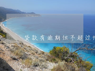 贷款有逾期但不超过90天 贷款有逾期但不超过90天