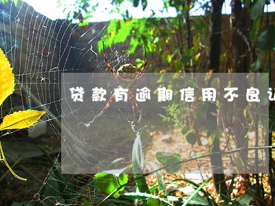 贷款有逾期信用不良记录 贷款有逾期信用不良记录