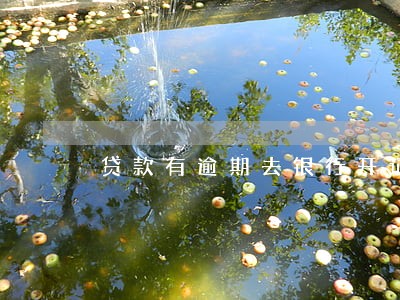 贷款有逾期去银行开证明 贷款有逾期去银行开证明