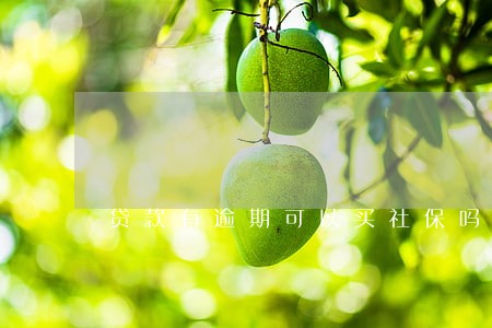 贷款有逾期可以买社保吗 贷款有逾期可以买社保吗
