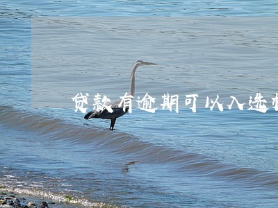 贷款有逾期可以入选村干部吗 贷款有逾期可以入选村干部吗