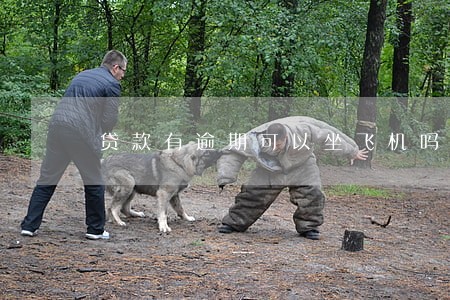贷款有逾期可以坐飞机吗 贷款有逾期可以坐飞机吗
