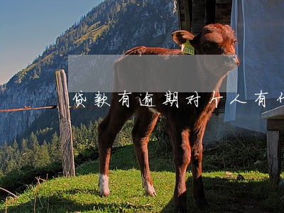 贷款有逾期对个人有什么影响 贷款有逾期对个人有什么影响