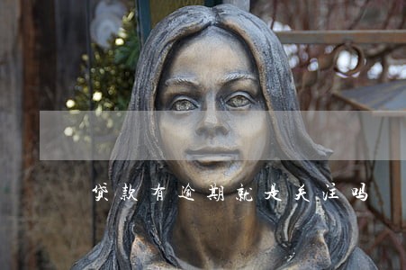 贷款有逾期就是关注吗