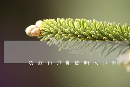 贷款有逾期影响入职吗 贷款有逾期影响入职吗