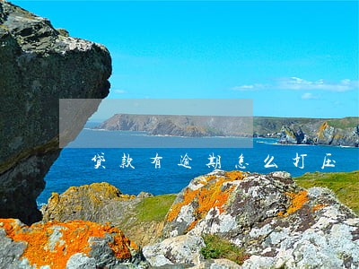 贷款有逾期怎么打压 贷款有逾期怎么打压