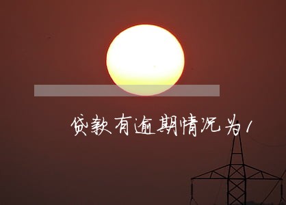 贷款有逾期情况为1 贷款有逾期情况为1