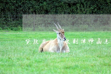 贷款有逾期收到律师函怎么办 贷款有逾期收到律师函怎么办