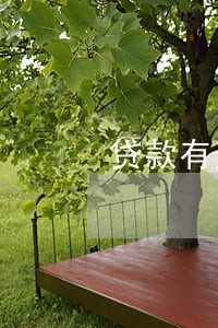 贷款有逾期新口子 贷款有逾期新口子