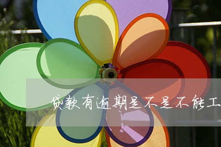 贷款有逾期是不是不能工作 贷款有逾期是不是不能工作