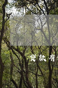 贷款有逾期有什么影响吗 贷款有逾期有什么影响吗