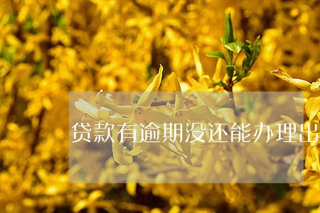 贷款有逾期没还能办理出国吗 贷款有逾期没还能办理出国吗