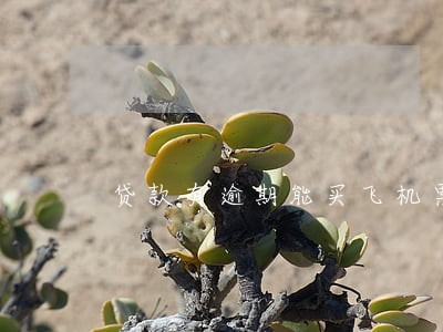 贷款有逾期能买飞机票吗 贷款有逾期能买飞机票吗