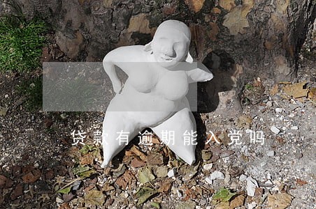 贷款有逾期能入党吗 贷款有逾期能入党吗