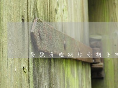 贷款有逾期能分期手机吗 贷款有逾期能分期手机吗