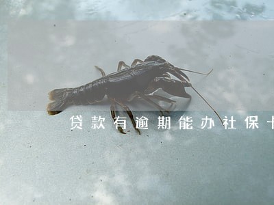 贷款有逾期能办社保卡吗 贷款有逾期能办社保卡吗