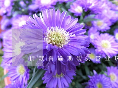贷款有逾期能办营业执照吗 贷款有逾期能办营业执照吗