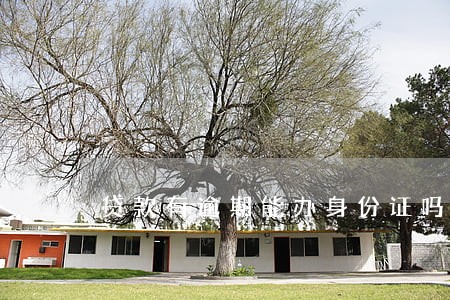 贷款有逾期能办身份证吗 贷款有逾期能办身份证吗