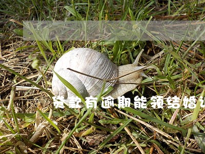 贷款有逾期能领结婚证吗 贷款有逾期能领结婚证吗