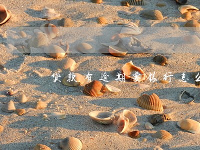 贷款有逾期要银行怎么出证明 贷款有逾期要银行怎么出证明