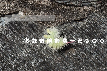 贷款有逾期费一天200的吗 贷款有逾期费一天200的吗