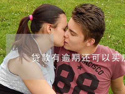 贷款有逾期还可以买房吗 贷款有逾期还可以买房吗
