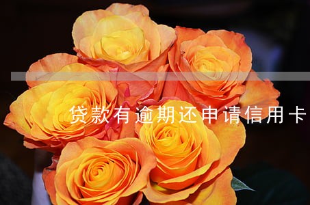 贷款有逾期还申请信用卡吗 贷款有逾期还申请信用卡吗