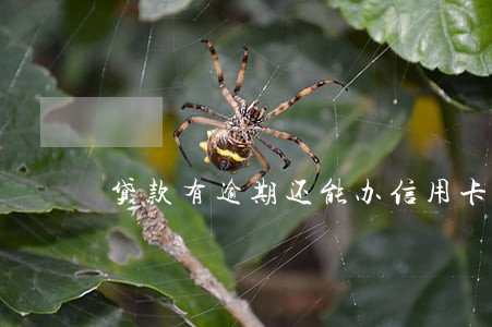 贷款有逾期还能办信用卡吗