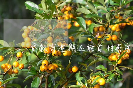 贷款有逾期还能首付买房么 贷款有逾期还能首付买房么