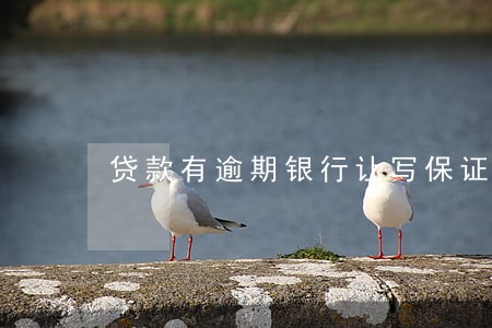 贷款有逾期银行让写保证书 贷款有逾期银行让写保证书