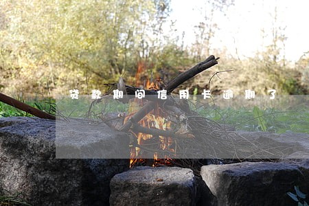 贷款期间信用卡逾期了
