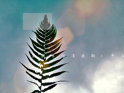 贷款未结清逾期5年后 贷款未结清逾期5年后