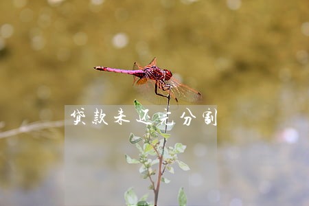 贷款未还完分割 贷款未还完分割