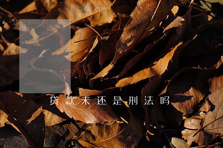 贷款未还是刑法吗 贷款未还是刑法吗