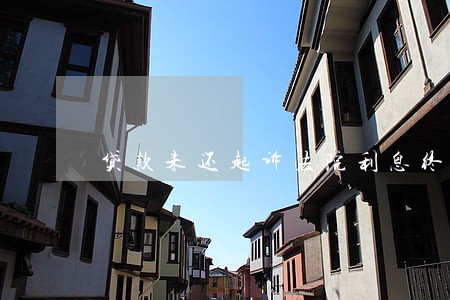 贷款未还起诉法院利息终止吗 贷款未还起诉法院利息终止吗