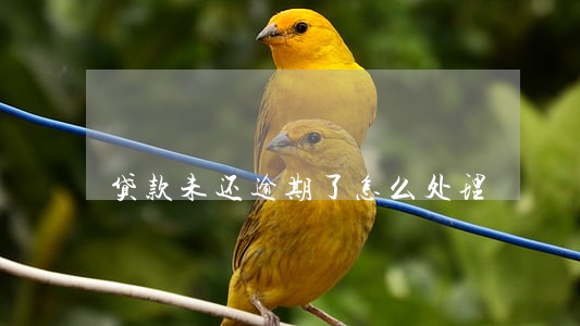 贷款未还逾期了怎么处理 贷款未还逾期了怎么处理