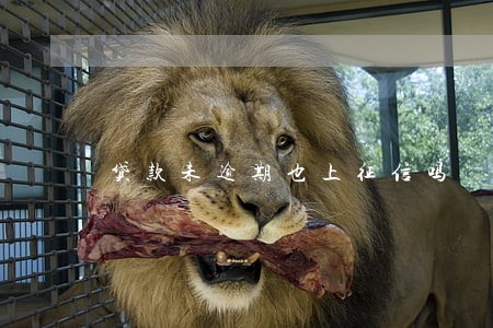 贷款未逾期也上征信吗 贷款未逾期也上征信吗
