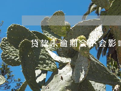 贷款未逾期会不会影响信用卡 贷款未逾期会不会影响信用卡