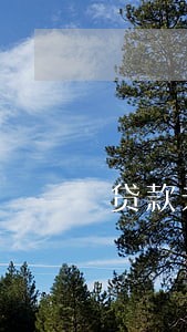 贷款未逾期信用亚健康了怎么回事