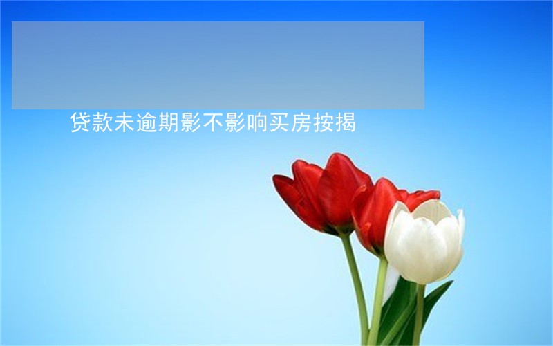 贷款未逾期影不影响买房按揭 贷款未逾期影不影响买房按揭