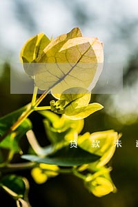 贷款未逾期征信能查到 贷款未逾期征信能查到
