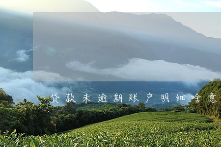 贷款未逾期账户明细啥意思 贷款未逾期账户明细啥意思