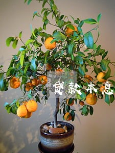 贷款本息多久不还算逾期 贷款本息多久不还算逾期