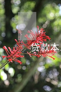贷款本息逾期90天降不良 贷款本息逾期90天降不良