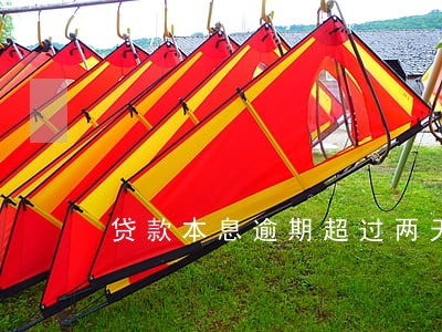 贷款本息逾期超过两天