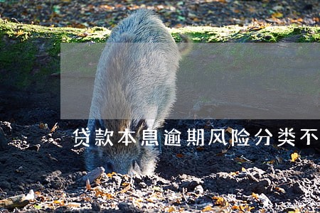 贷款本息逾期风险分类不高于 贷款本息逾期风险分类不高于