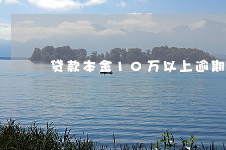 贷款本金10万以上逾期 贷款本金10万以上逾期